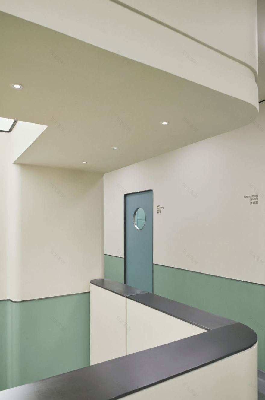 bibu宠物店丨中国广州丨今朝风日好ofD-40