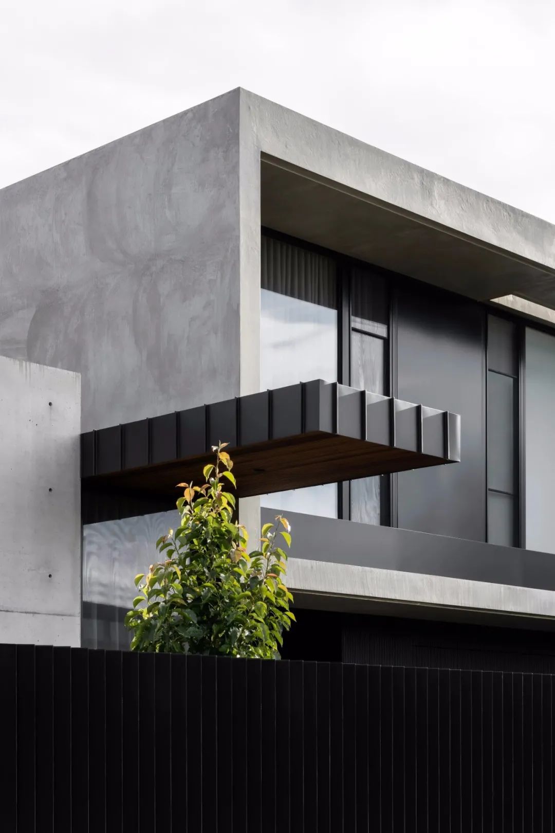 莫尔文学校丨澳大利亚墨尔本丨McKimm-11