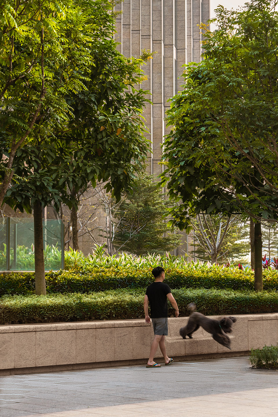 深圳弘毅大厦景观丨中国深圳丨ASPECT Studios-36