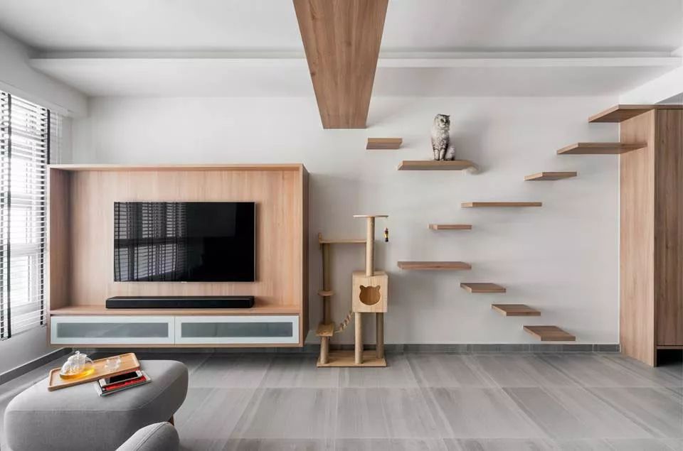 未来住宅设计趋势 | 猫元素融入家居生活-26