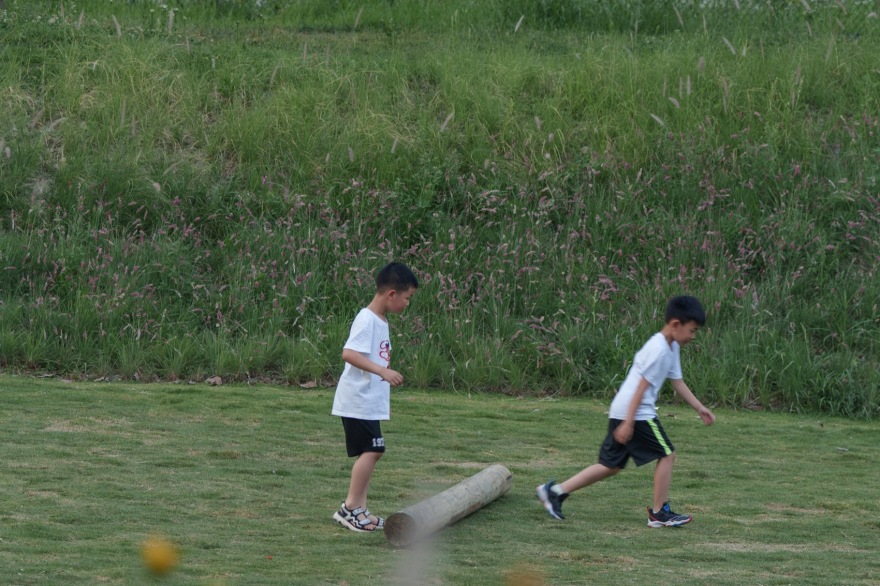 成都趣野公园(屋头公园)丨中国成都丨大小景观-133