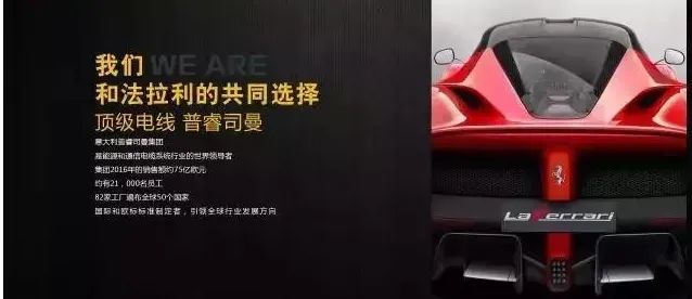 普睿司曼电线,全球领导者,品质卓越-12