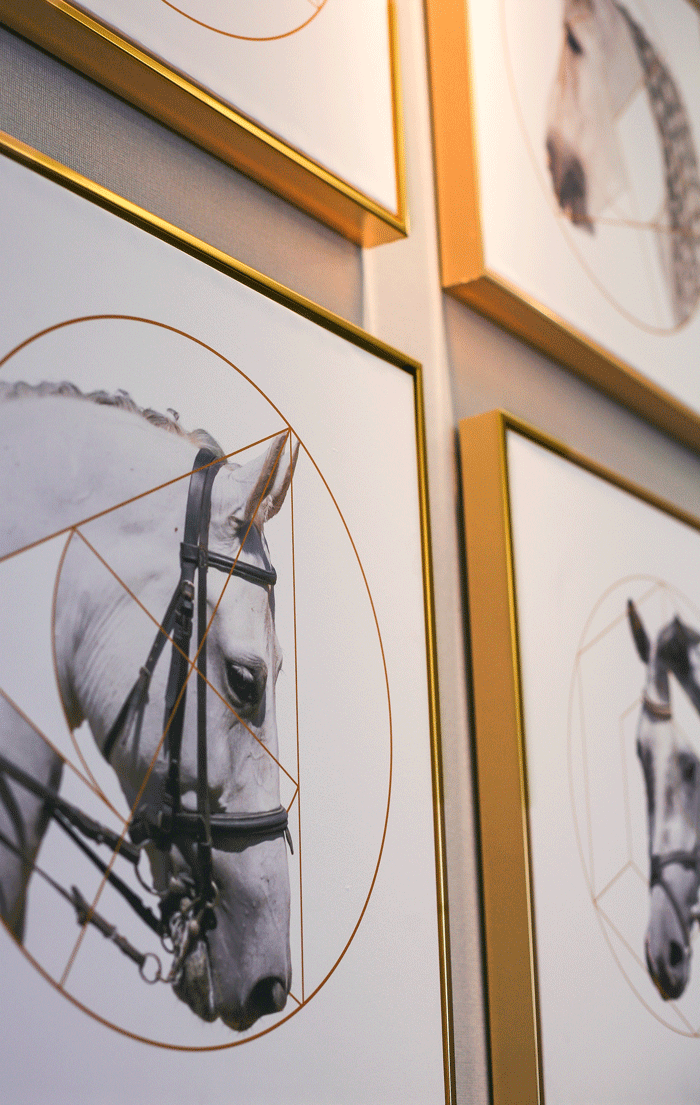 湖畔佳人的独墅九栋之梦-22