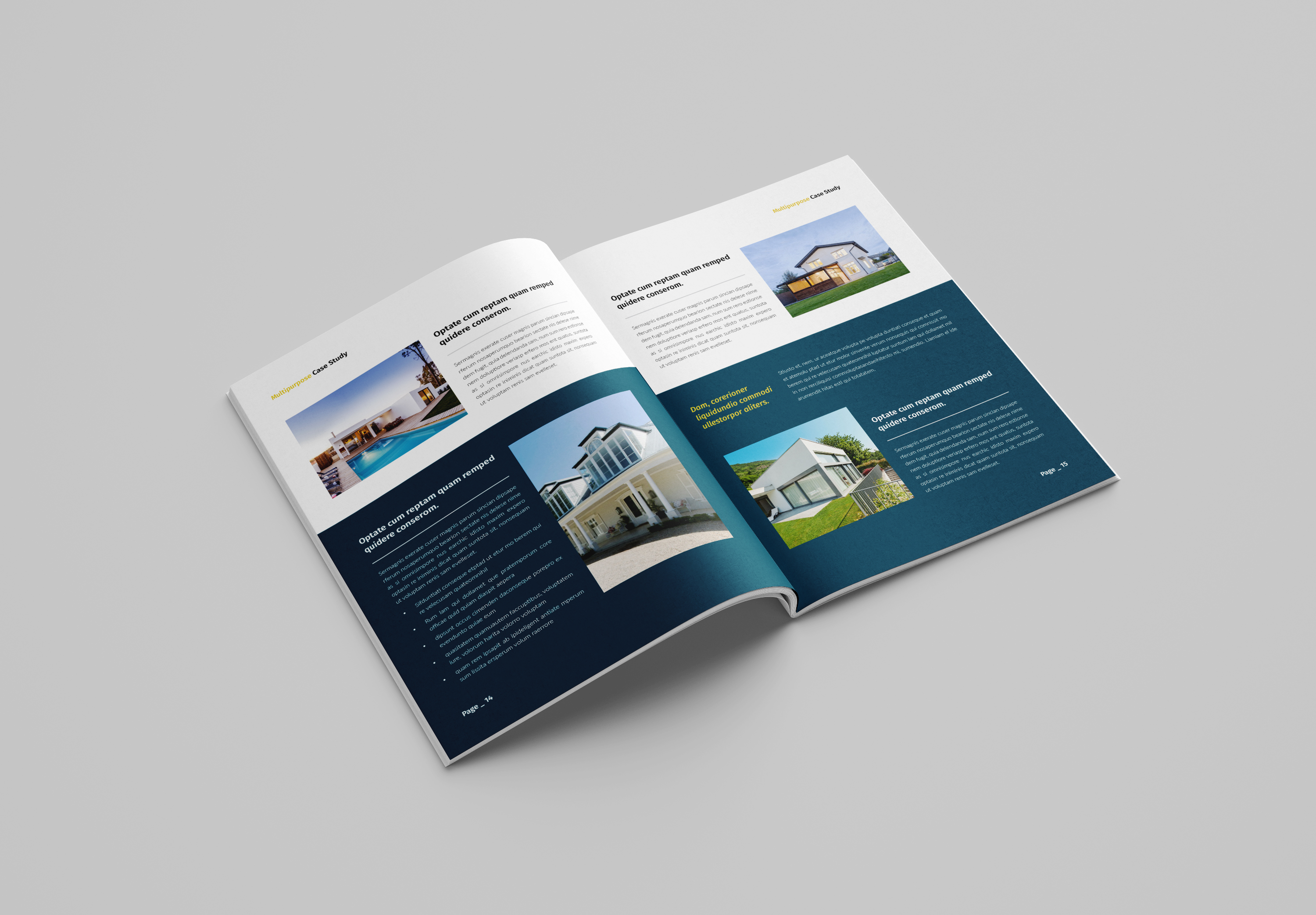 案例研究手册组合模板-22