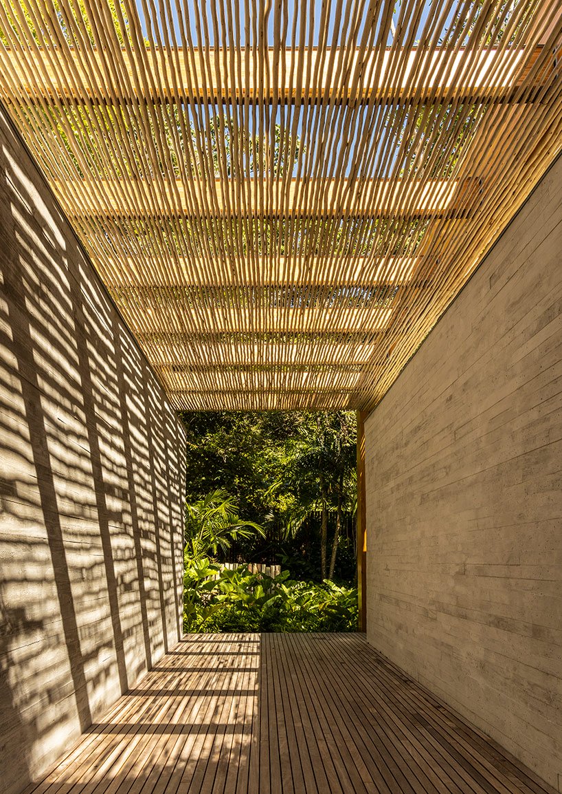 巴西热带海岸上的“沙屋”-54