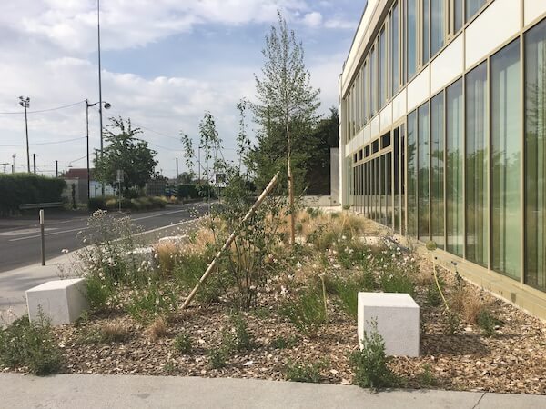 Jardin cœur d'îlot - Brétigny-sur-Orge - Horizons Paysages-24