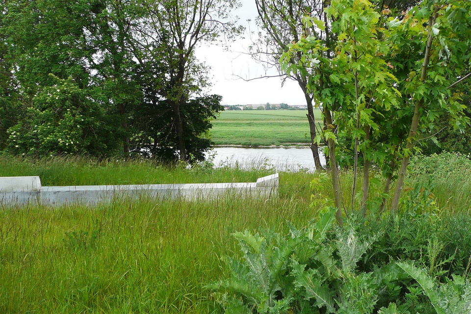 里萨易北河畔公园丨德国丨德国雷瓦德景观建筑事务所-36