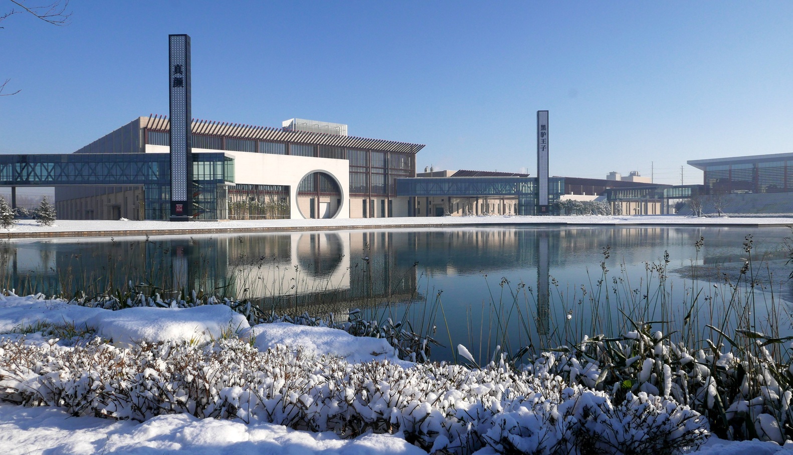 DEEJ Factory  5+design-55