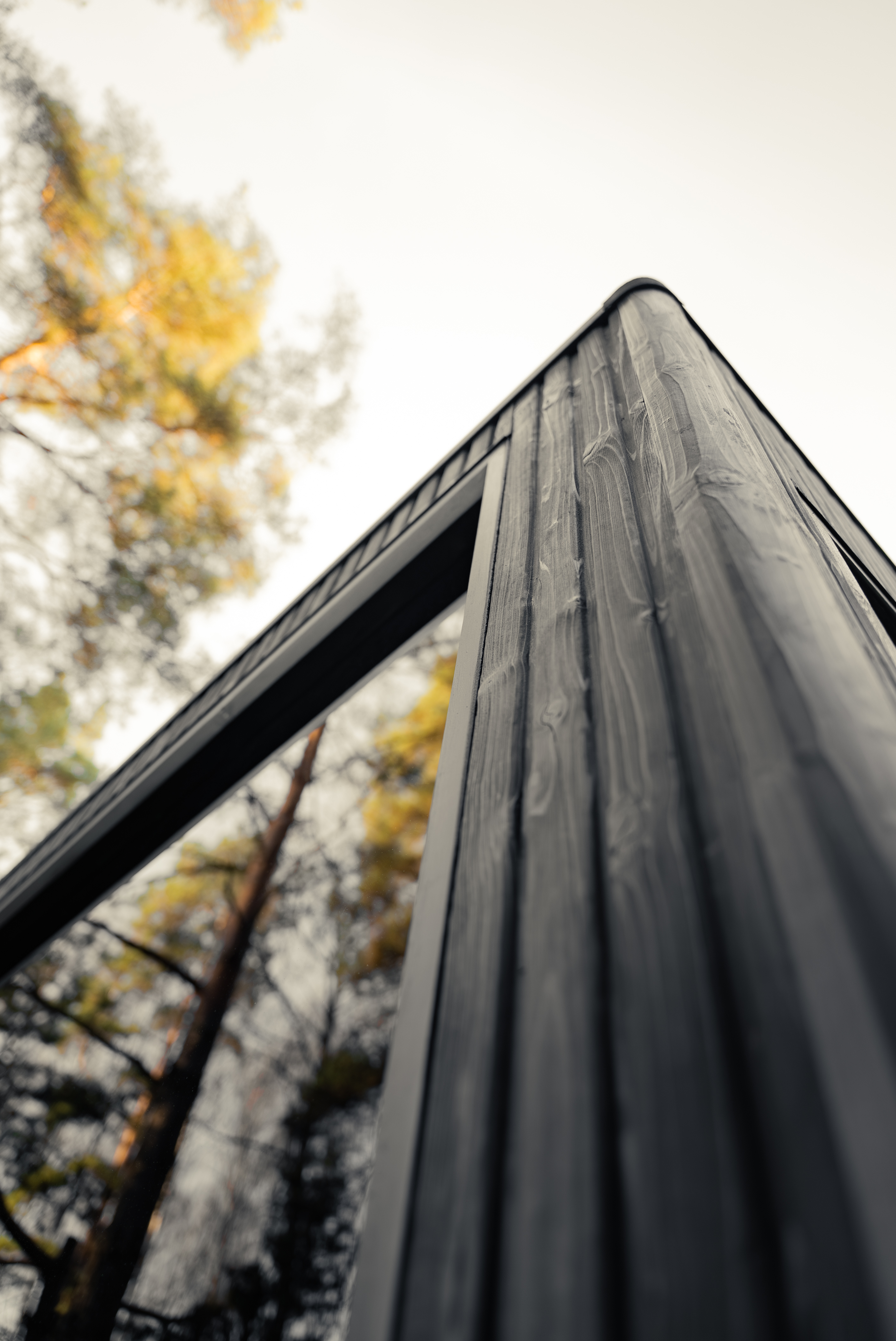 Jonas grand outdoot sauna - Celsium-5
