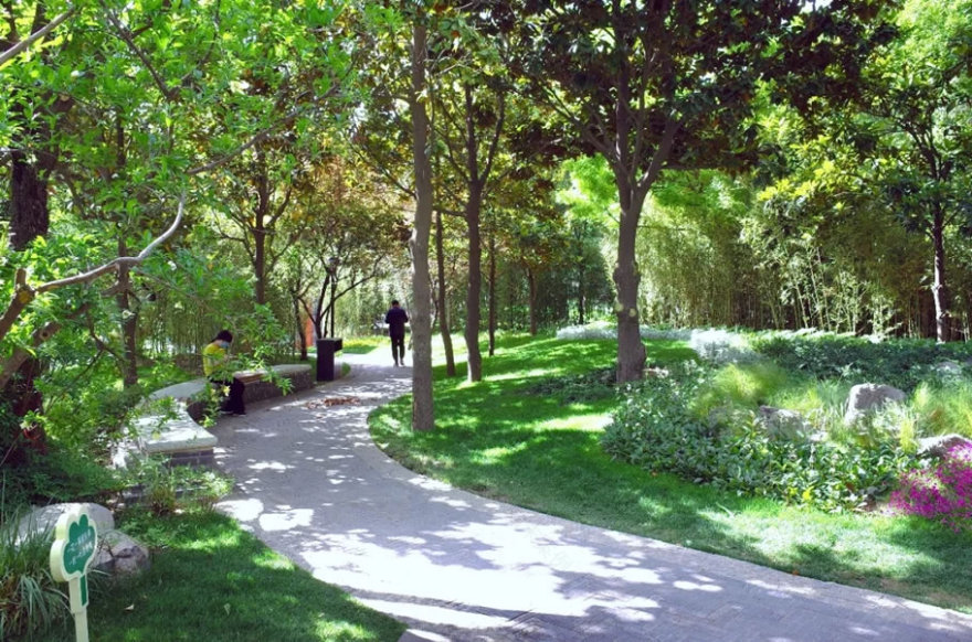 郑州人民公园“拆墙透绿”打造城园一体空间丨中国郑州-31