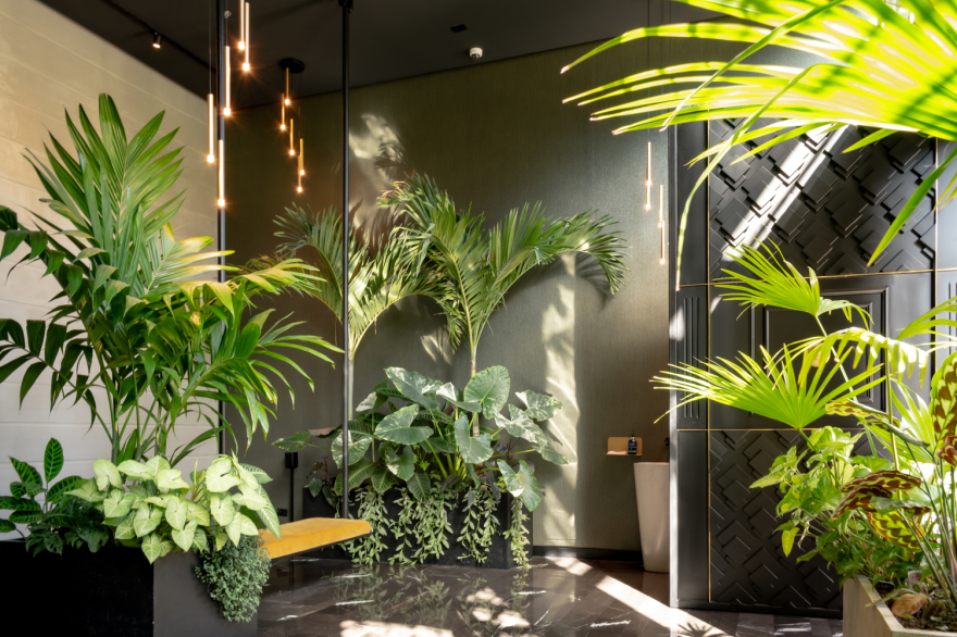 垂直绿洲 · 哥斯达黎加 San José 的 Gardenia 公寓丨Studio Saxe-20