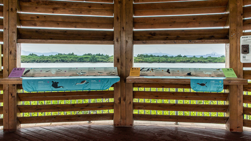 深圳红树林生态公园户外科普互动导视设计丨中国深圳丨共生领域(北京)文化传媒有限公司-45