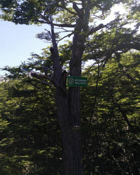 Ushuaia, TDF, Argentina(2022)