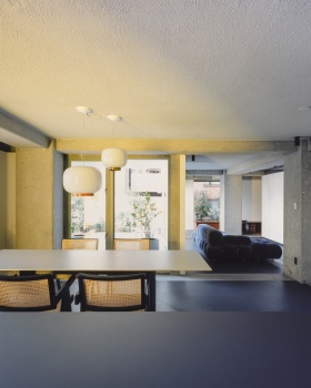 Villa Serena 204 翻新项目丨日本东京丨YNAS