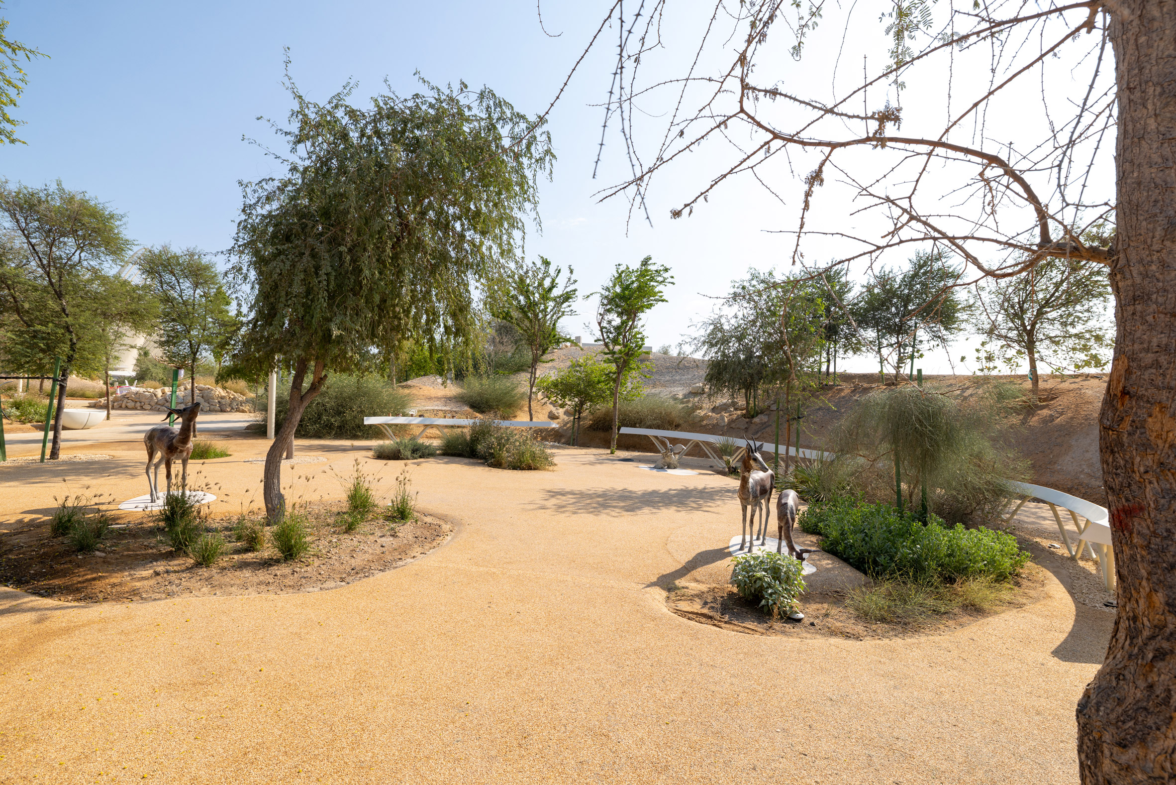 扎耶德国家博物馆丨阿联酋阿布扎比丨福斯特建筑事务所(Foster + Partners)-36