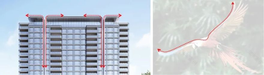 武汉金地·大成乐府|江鹦展翅,礼乐鸣响-16