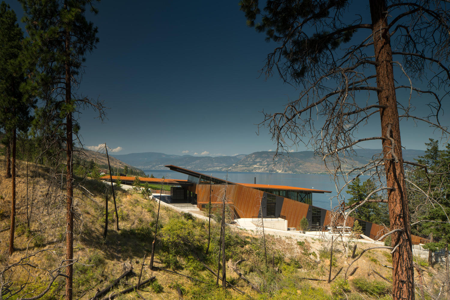 马丁巷酒庄·冯·曼德尔家族的重力酿酒传奇-42