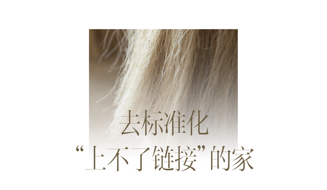 鞋包设计师的繁复主义之家丨DNA邸内设计-32