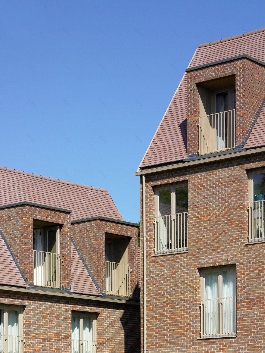 丨英国丨Henley Halebrown-23