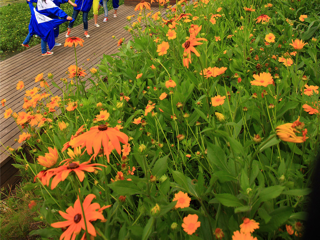 六盘水明湖湿地公园,贵州 / 土人-29