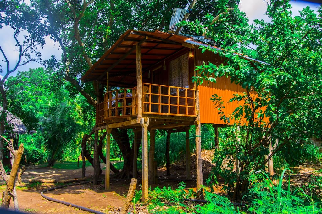 高架木屋Eco  Retreat住宿-33