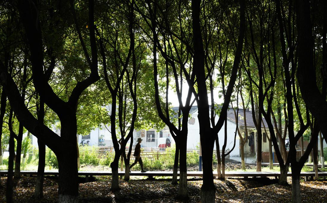 苏州市震泽镇“五美三优”乡村改造丨中国苏州-27