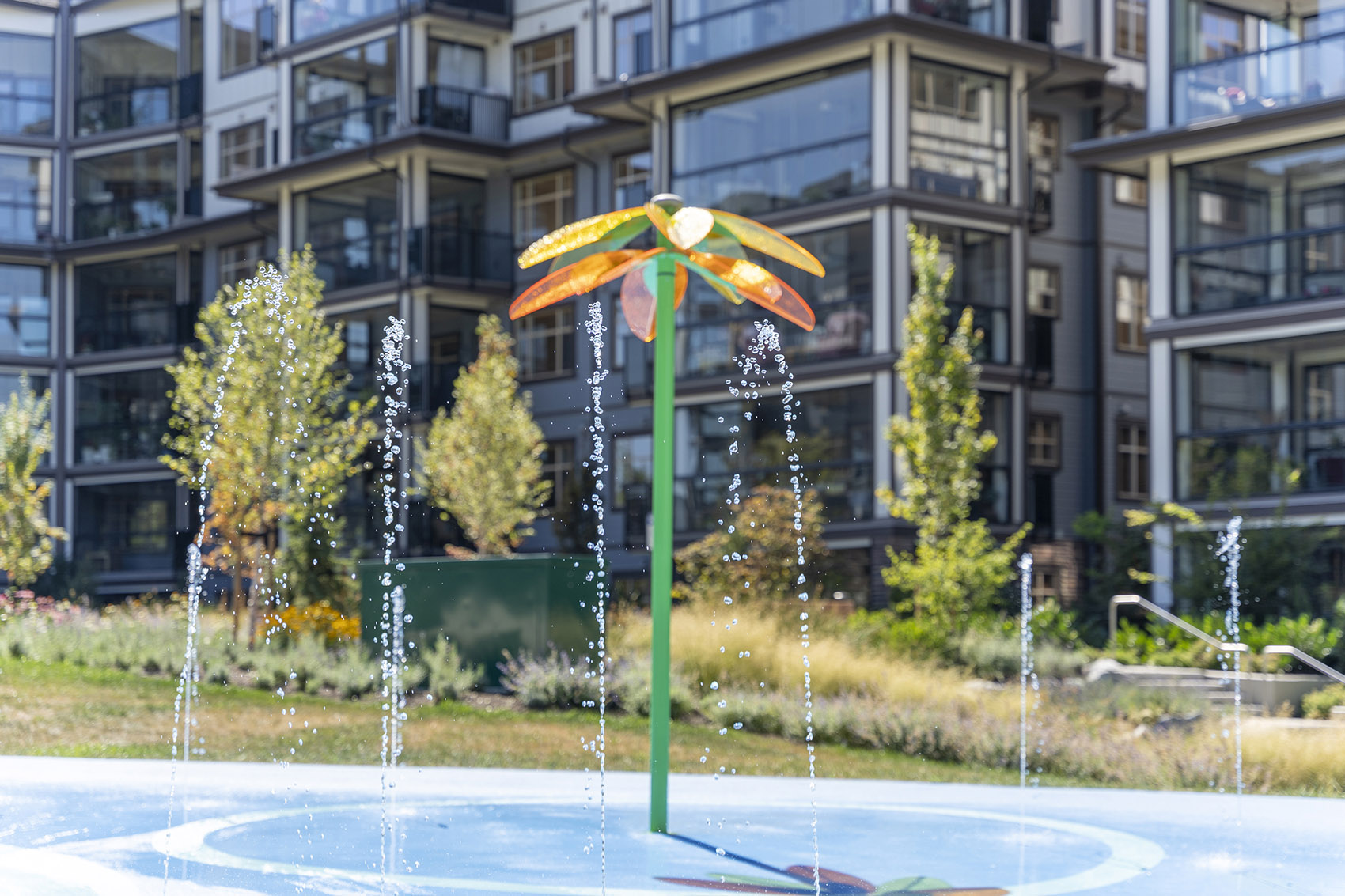 Carvolth 综合开放空间Goldenview 公园丨加拿大丨PMG Landscape Architects-32