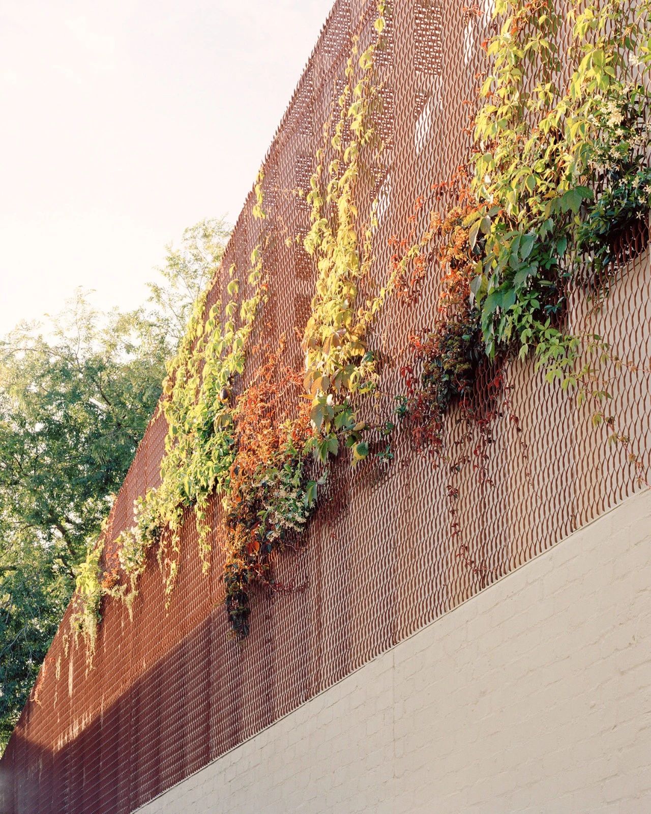 秋之屋丨澳大利亚墨尔本丨Bright Studio-12