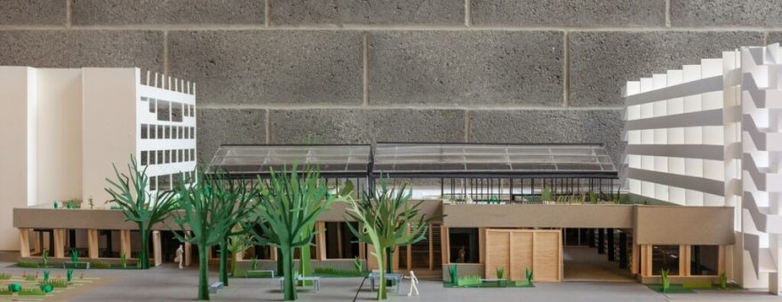 Ferme Maximilien-Sur-Senne - ouest-25