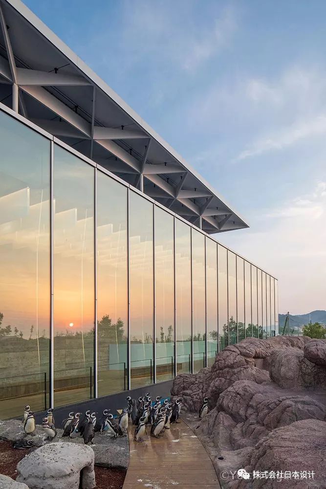 上越市立水族博物馆 | 沉浸式体验日本海的壮美海景-9