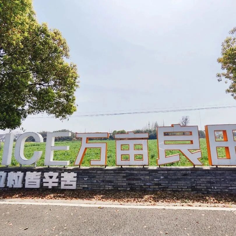 境作|恋“练”春光，“宝藏”踏青地：青浦徐练村，有多好逛？-77