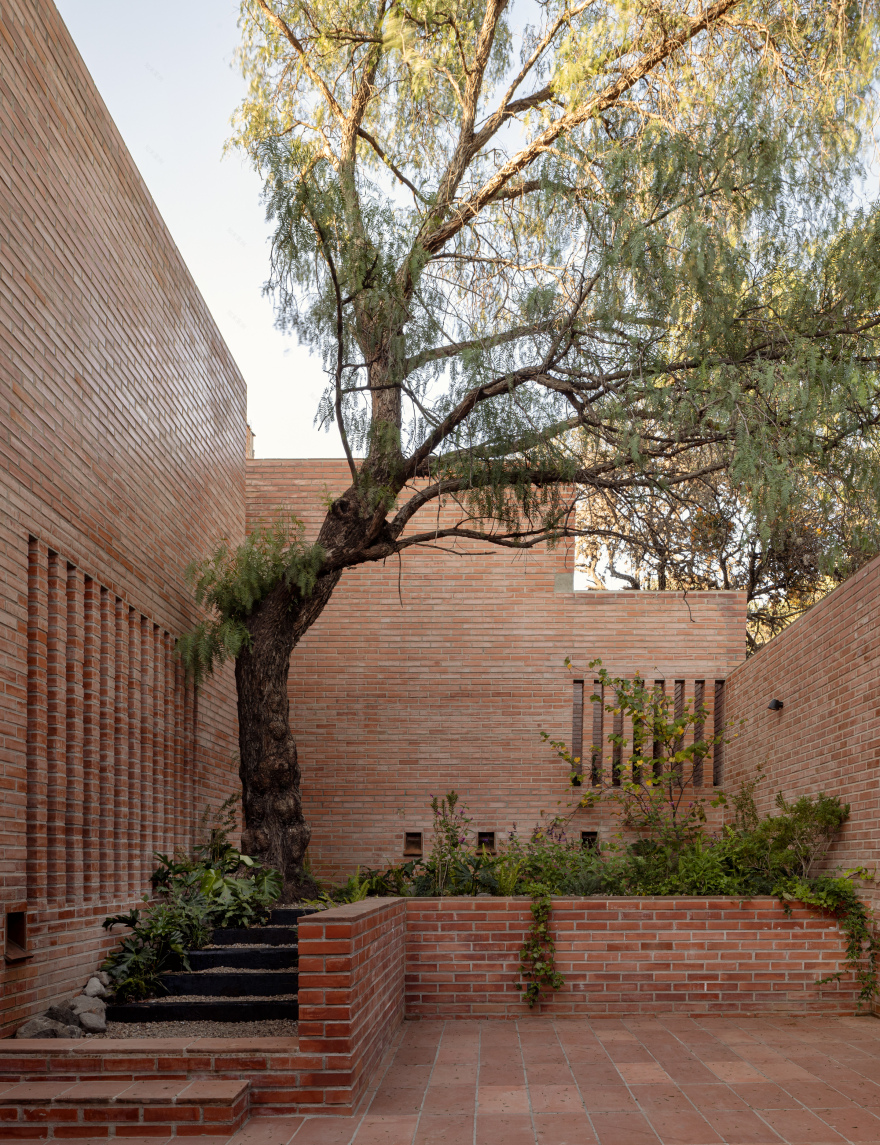 皮鲁莱斯之家丨墨西哥丨Escobedo Soliz(Pavel Escobedo等)-14