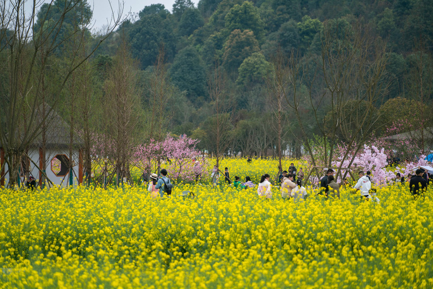 丘山阅田园文化村丨乐道景观-144