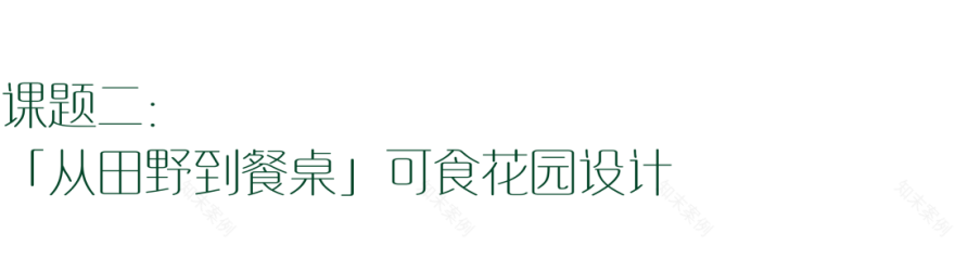 一场人与场地共生的创新实验|铁牛村青年乡建实践营活动回顾-55