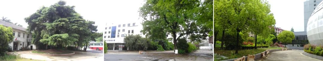 空港街区空间整合与活化设计 | 三轴三区一心一环-18