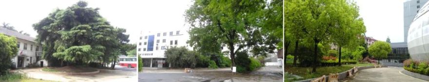 空港街区空间整合与活化设计 | 三轴三区一心一环-18