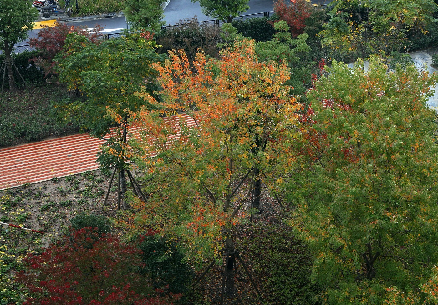 上海张江校区景观-31
