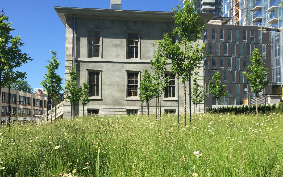 丨加拿大魁北克丨NIPPAYSAGE-16