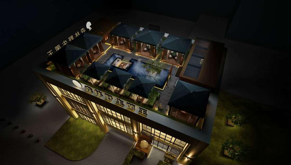 
森林野生菌王 -8