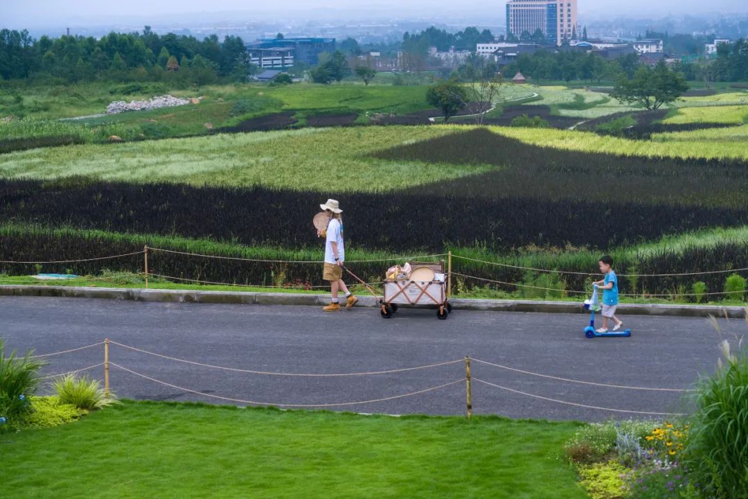 峨眉·高桥小镇丨中国眉山丨四川乐道景观设计有限公司-51