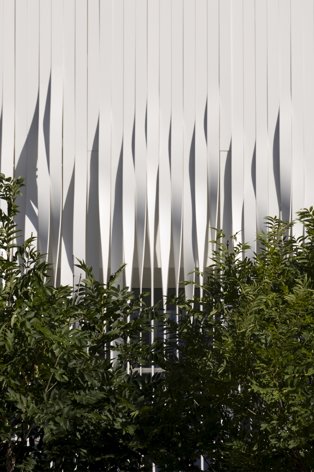 Faeda 总部办公楼丨3ndyStudio-19