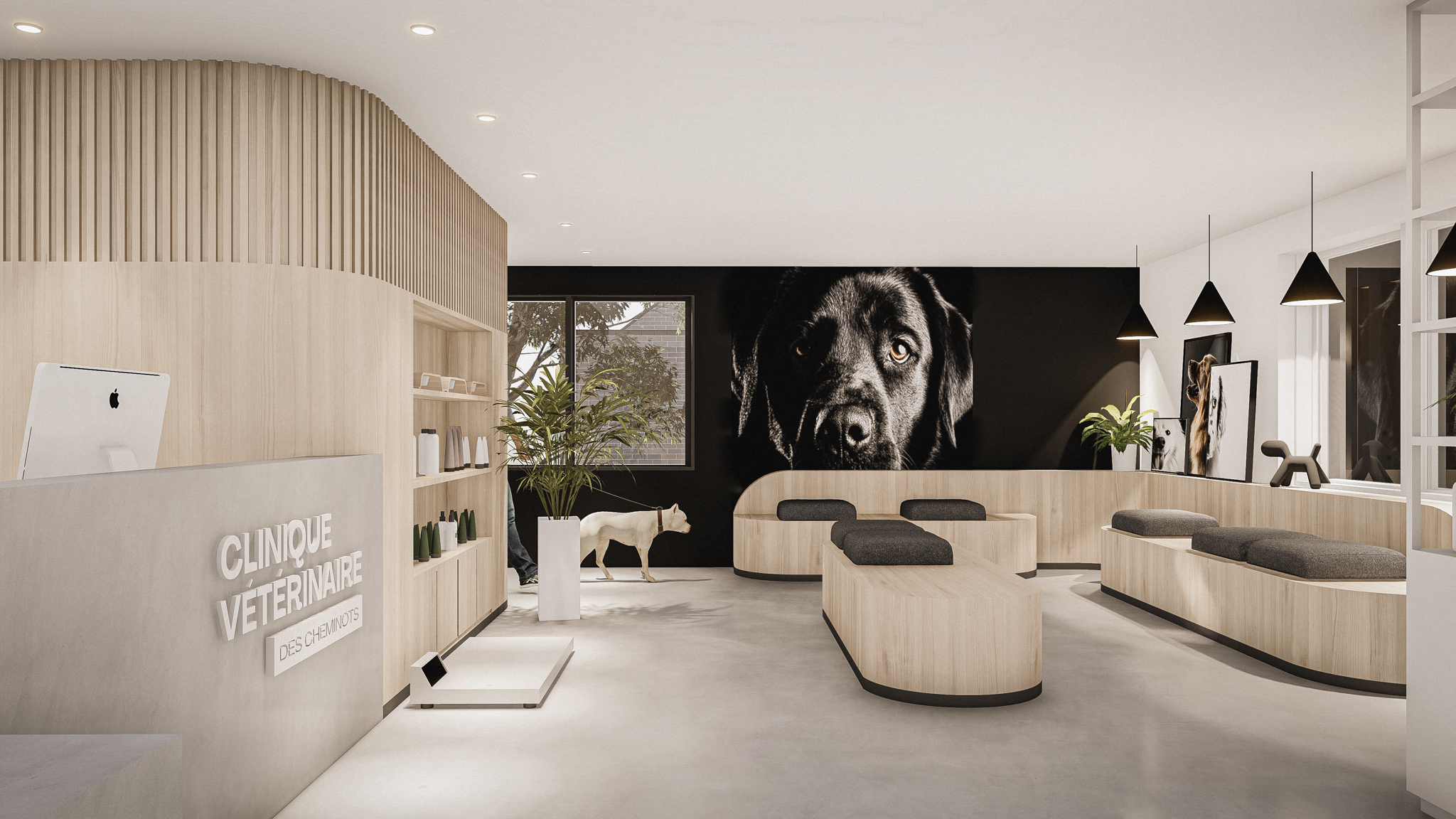 温馨的动物医院丨Agence Spatiale inc.-8