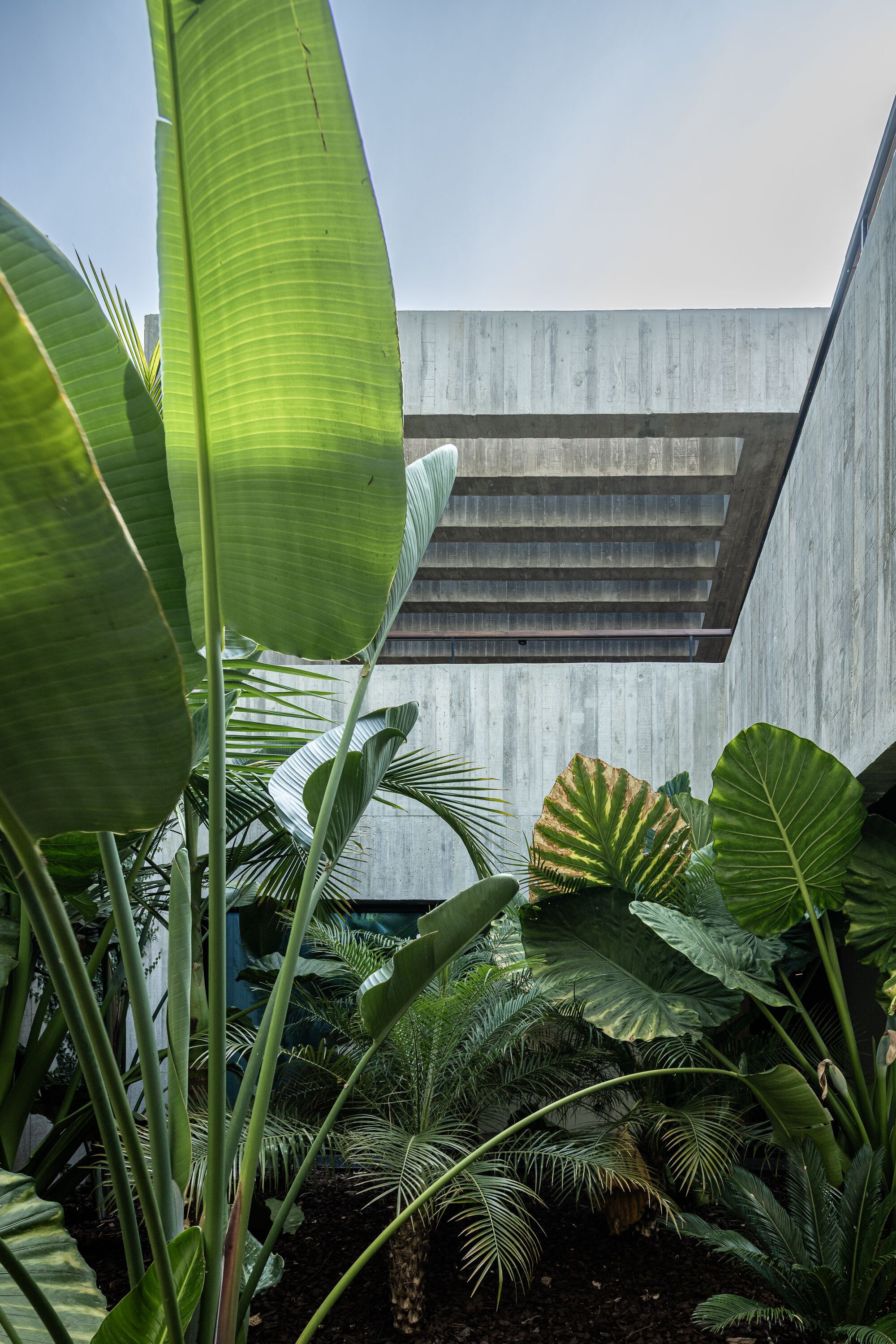 科利纳斯庄园丨葡萄牙丨Atelier Data-58