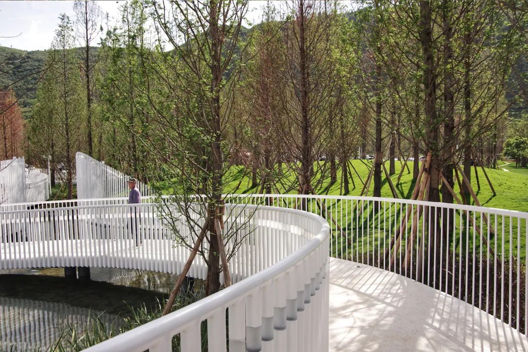 抚仙湖星空小镇 | 生态修复的人与自然和谐共生典范-74