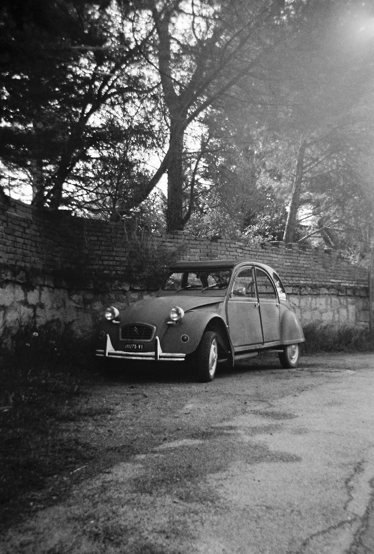 Werlisa ClubColor 摄影室-5