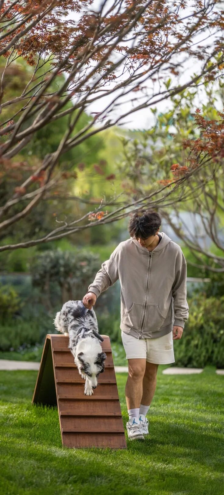 挥爪营地|重新定义宠物友好社区-30