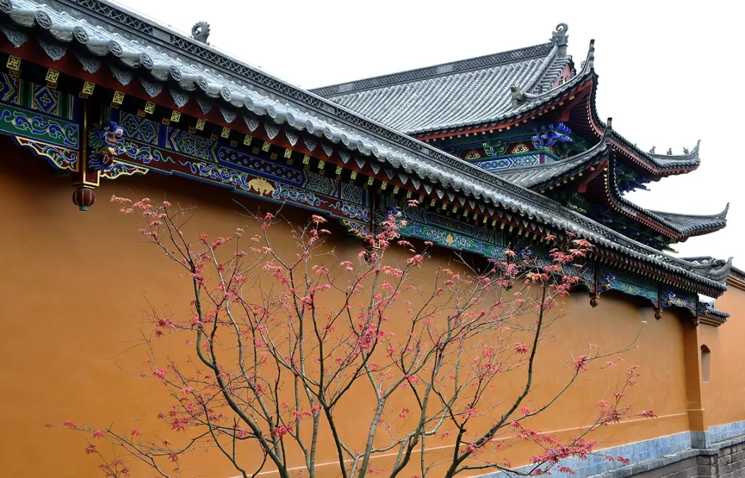 常德老西门棚户区城市更新项目丨中国常德丨何勍等-100