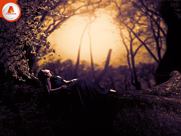 Graphic Design Diplomas (Students Projects )-24