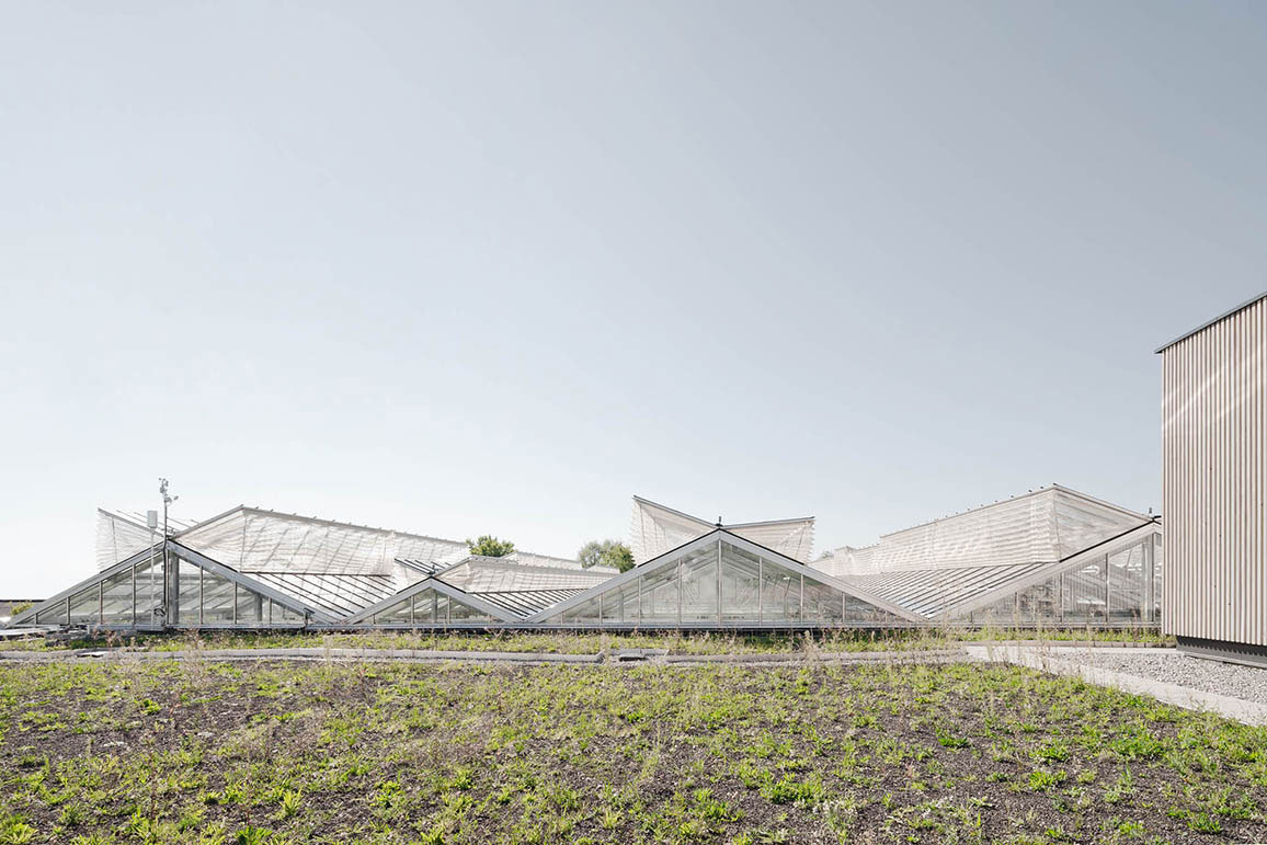 Universität Hohenheim, Stuttgart, Phytotechnikum Forschungsgewächshaus - hw-13