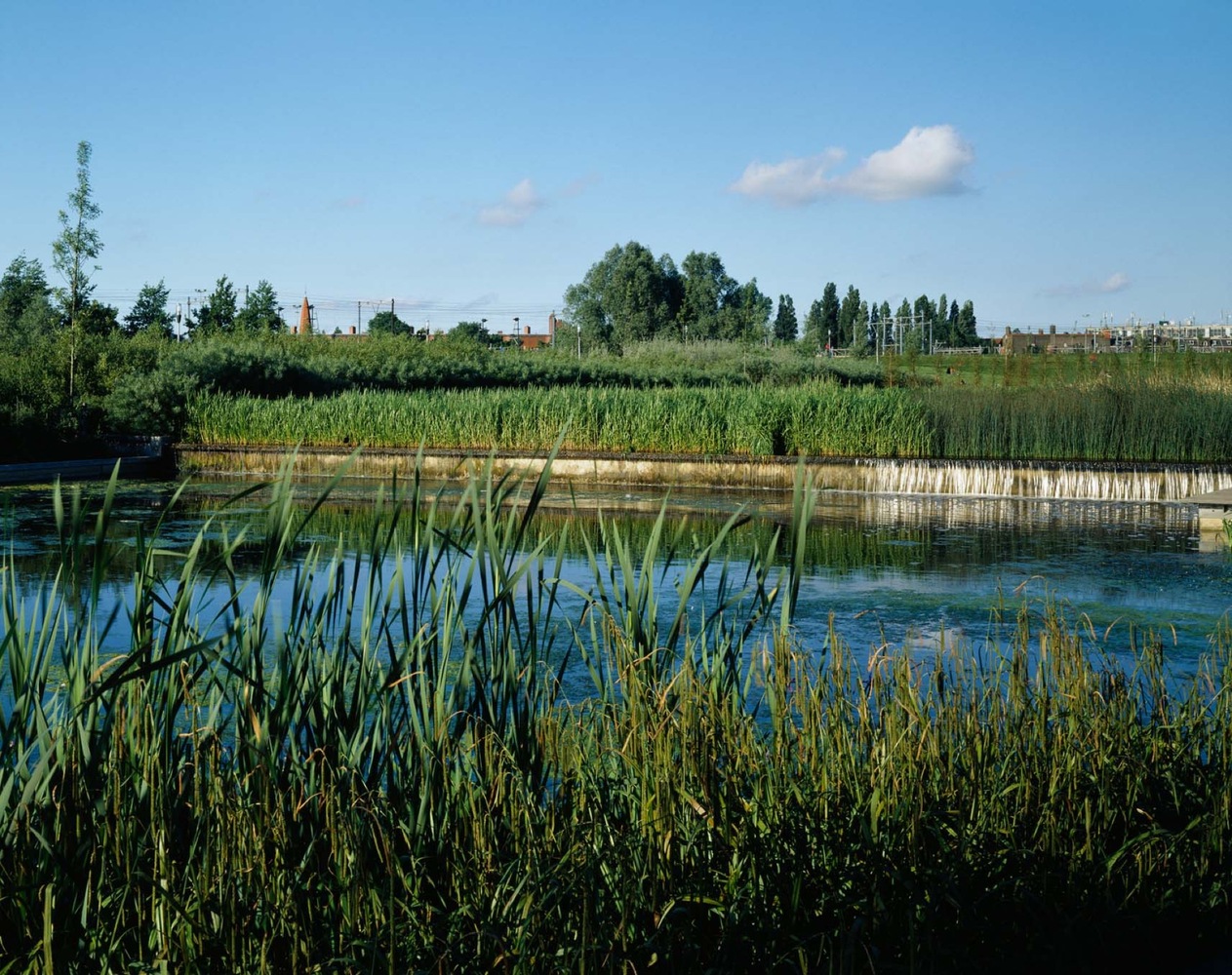 库图尔公园西部公园 (Cultuurpark Westergasfabriek)-39